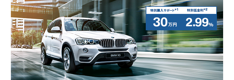 BMW X3